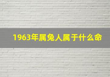 1963年属兔人属于什么命