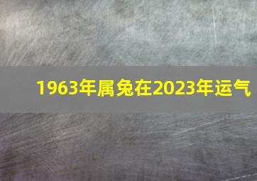 1963年属兔在2023年运气