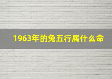 1963年的兔五行属什么命