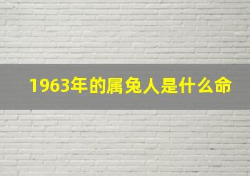 1963年的属兔人是什么命