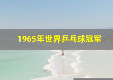 1965年世界乒乓球冠军