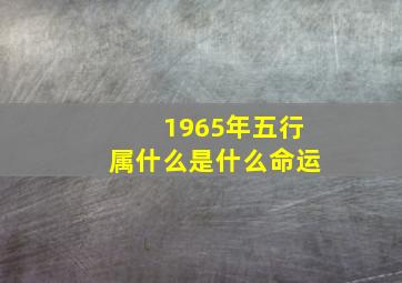 1965年五行属什么是什么命运