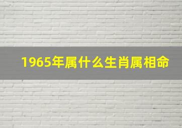 1965年属什么生肖属相命