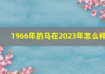 1966年的马在2023年怎么样