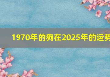 1970年的狗在2025年的运势