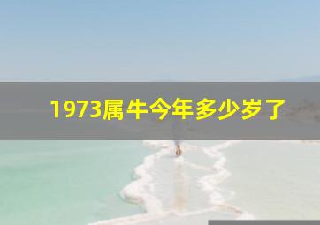 1973属牛今年多少岁了