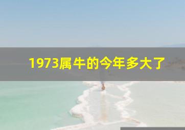 1973属牛的今年多大了