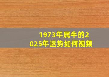 1973年属牛的2025年运势如何视频