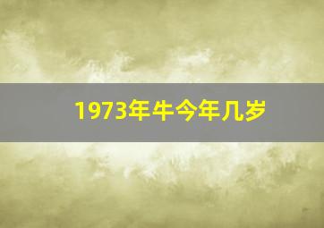 1973年牛今年几岁