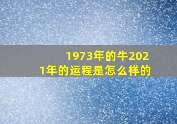 1973年的牛2021年的运程是怎么样的