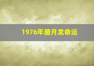 1976年腊月龙命运