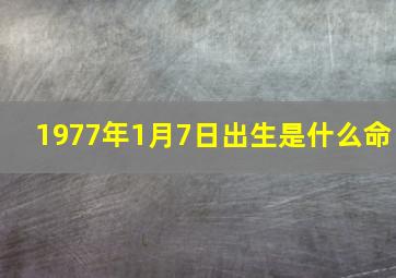 1977年1月7日出生是什么命