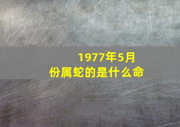 1977年5月份属蛇的是什么命