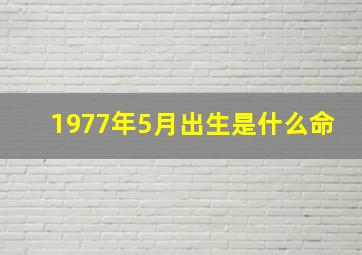 1977年5月出生是什么命