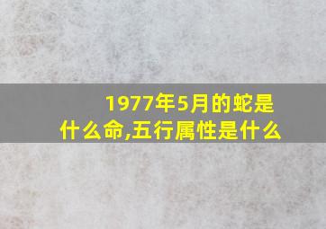 1977年5月的蛇是什么命,五行属性是什么