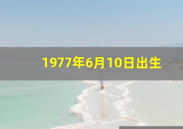 1977年6月10日出生