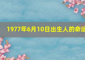 1977年6月10日出生人的命运