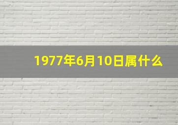 1977年6月10日属什么