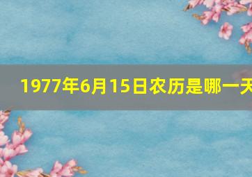 1977年6月15日农历是哪一天