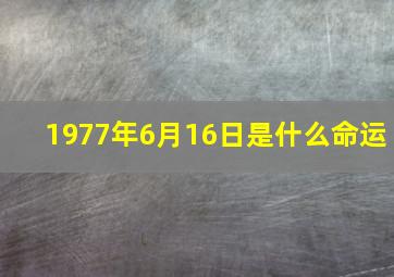 1977年6月16日是什么命运