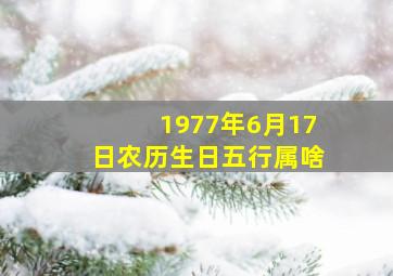 1977年6月17日农历生日五行属啥