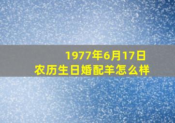 1977年6月17日农历生日婚配羊怎么样