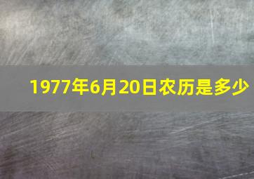 1977年6月20日农历是多少