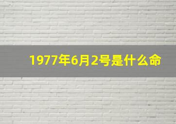 1977年6月2号是什么命