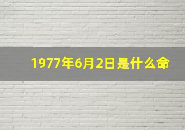 1977年6月2日是什么命