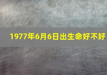 1977年6月6日出生命好不好