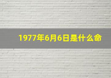 1977年6月6日是什么命