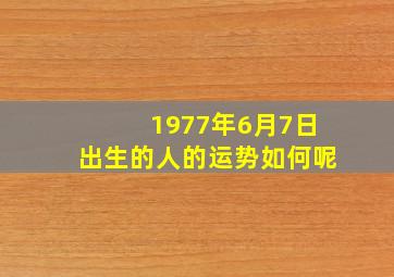 1977年6月7日出生的人的运势如何呢