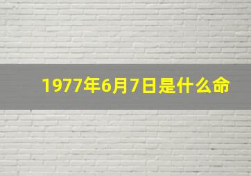 1977年6月7日是什么命