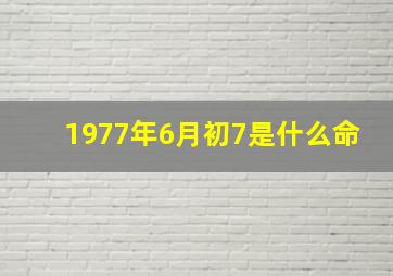 1977年6月初7是什么命