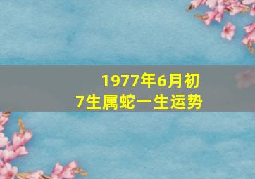 1977年6月初7生属蛇一生运势