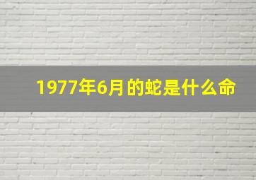 1977年6月的蛇是什么命