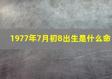 1977年7月初8出生是什么命