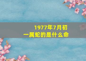 1977年7月初一属蛇的是什么命