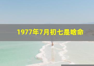 1977年7月初七是啥命