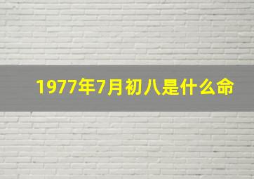 1977年7月初八是什么命