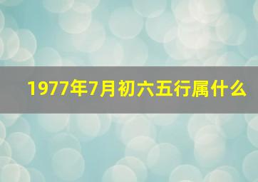 1977年7月初六五行属什么