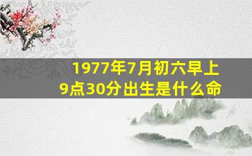 1977年7月初六早上9点30分出生是什么命