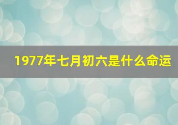 1977年七月初六是什么命运