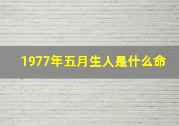 1977年五月生人是什么命