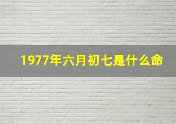 1977年六月初七是什么命