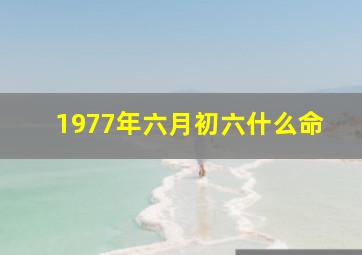 1977年六月初六什么命