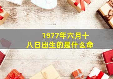 1977年六月十八日出生的是什么命