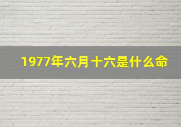 1977年六月十六是什么命