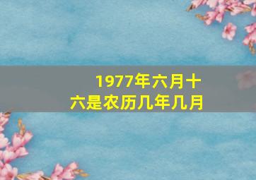 1977年六月十六是农历几年几月