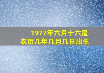 1977年六月十六是农历几年几月几日出生